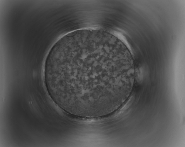X0000089961099200706291225
