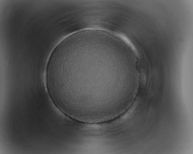 X0000089961100200706291225