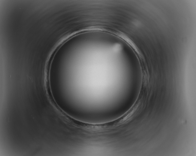X0000089961101200706291225