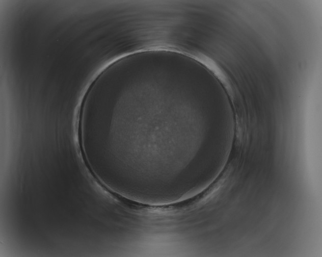 X0000089961102200706291225