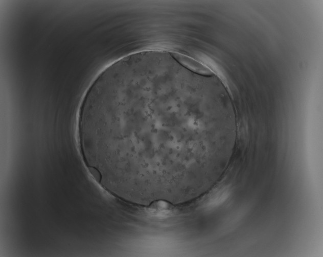 X0000089961103200706291225