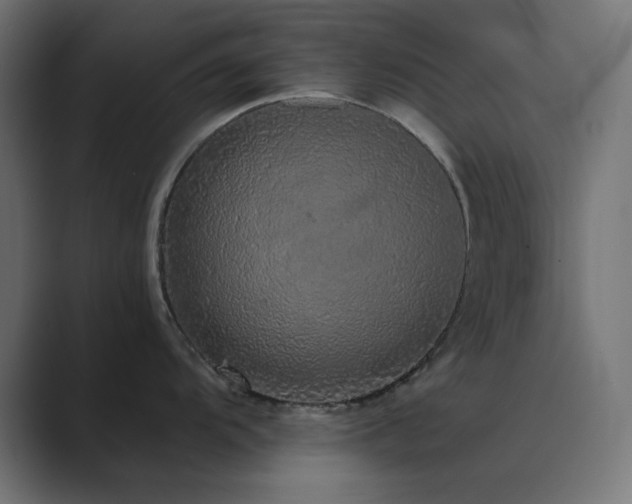 X0000089961104200706291225