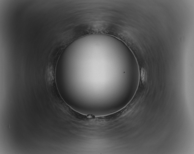 X0000089961107200706291224