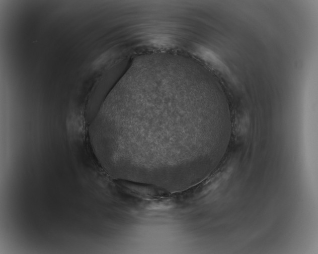 X0000089961110200706291224
