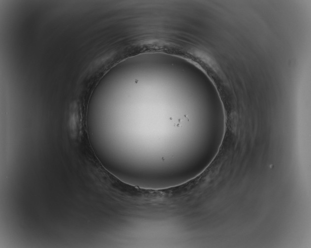 X0000089961111200706291224