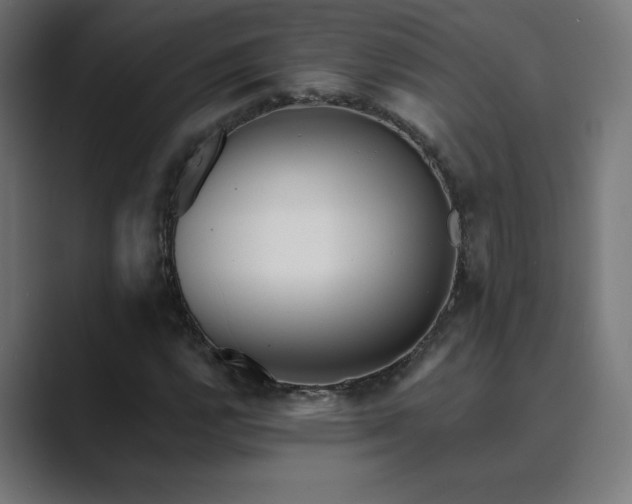 X0000089961112200706291224