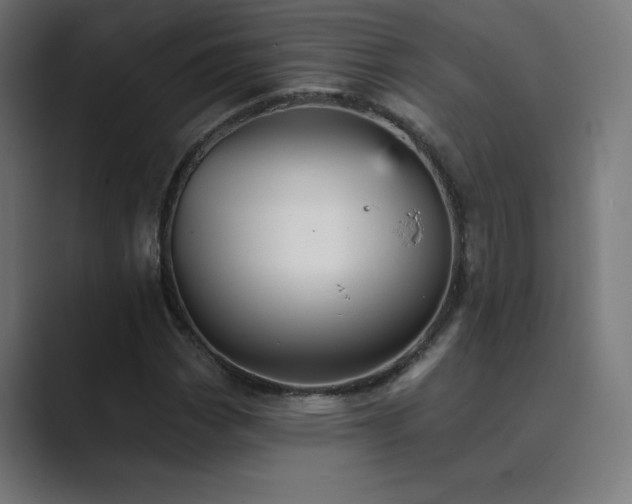 X0000089961113200706291224