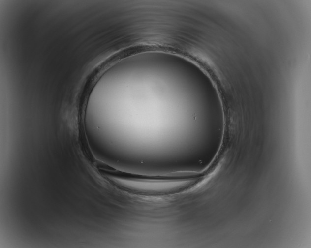 X0000089961114200706291224