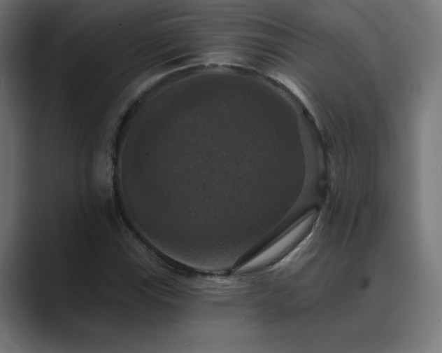 X0000089961115200706291224