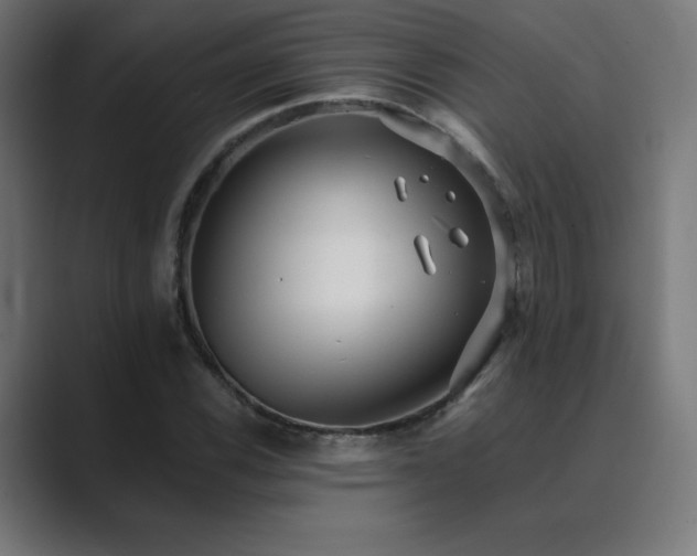 X0000089961116200706291224
