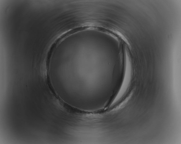 X0000089961117200706291224