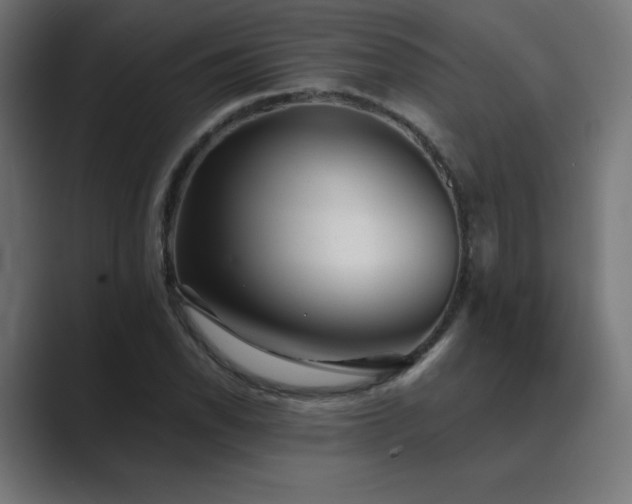 X0000089961118200706291224