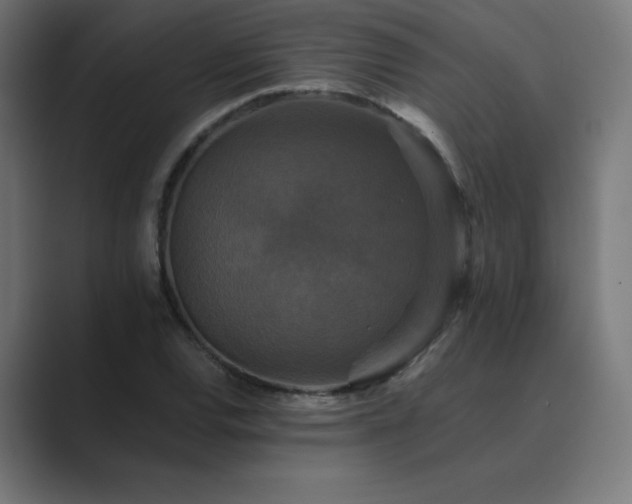 X0000089961120200706291224