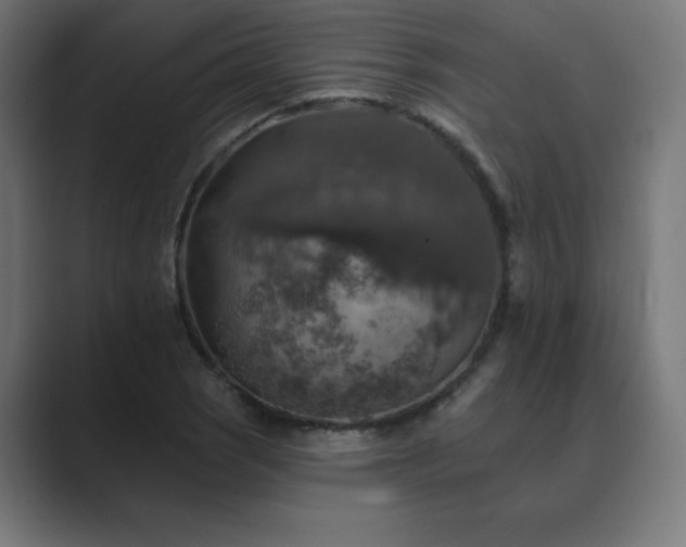 X0000089961121200706291224