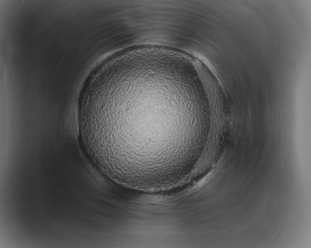 X0000089961123200706291224