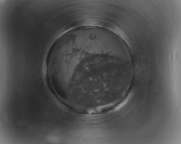 X0000089961125200706291224