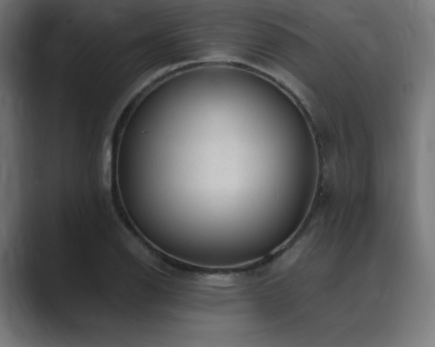 X0000089961126200706291224