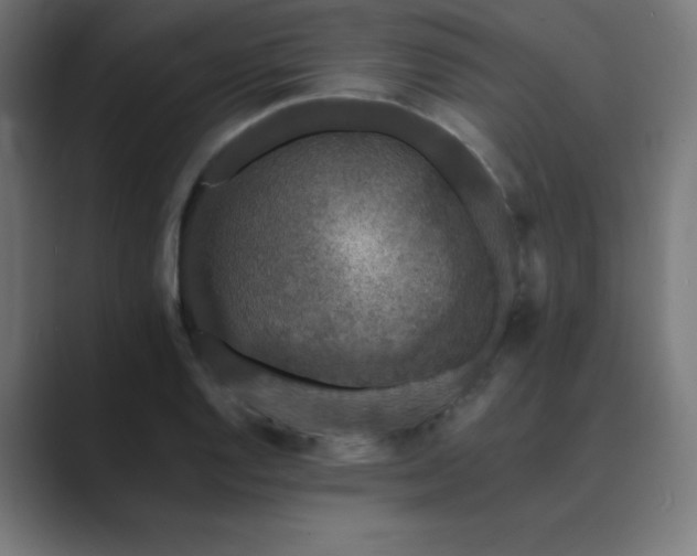 X0000089961128200706291224