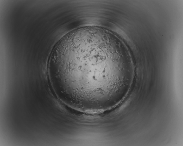 X0000089961129200706291224