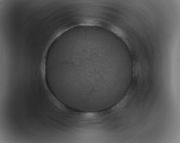 X0000089961130200706291224