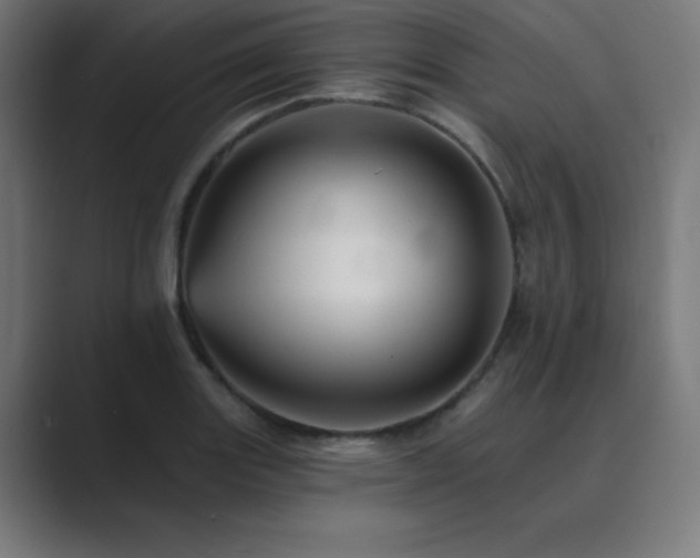 X0000089961131200706291225