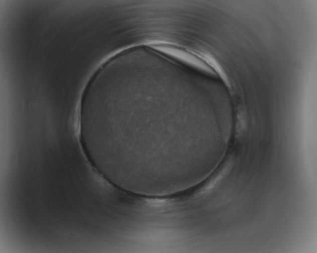 X0000089961132200706291225