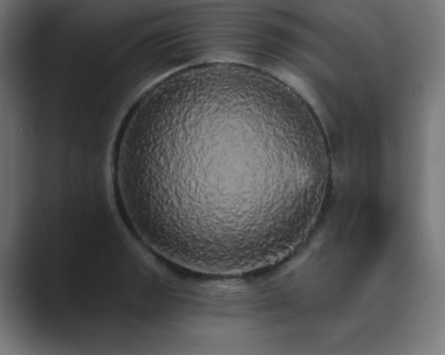 X0000089961133200706291225