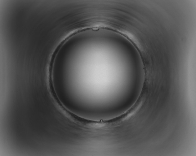 X0000089961134200706291225