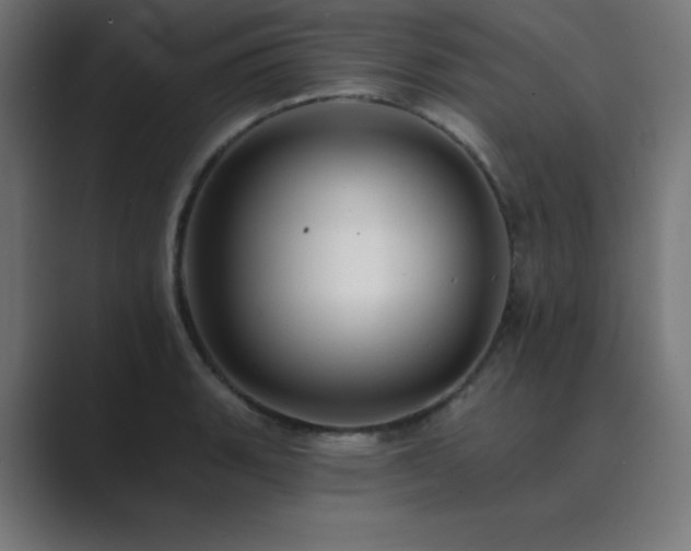 X0000089961135200706291225