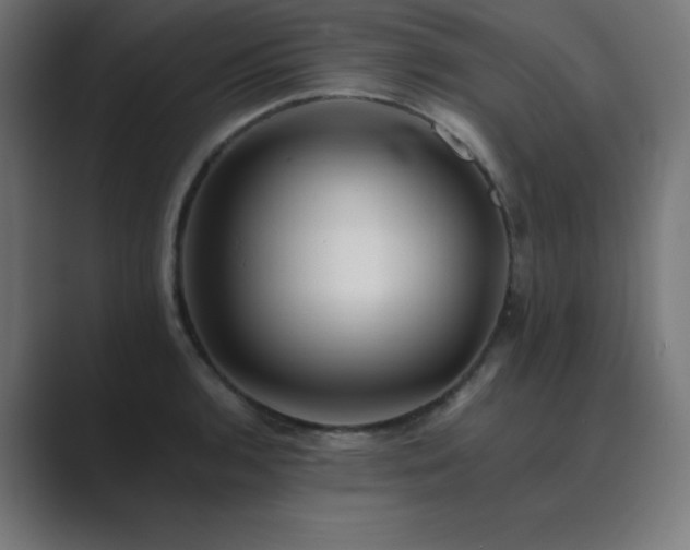 X0000089961136200706291225