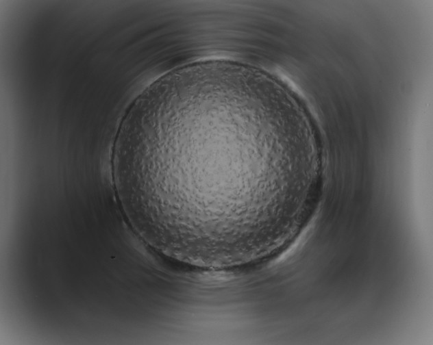 X0000089961137200706291225