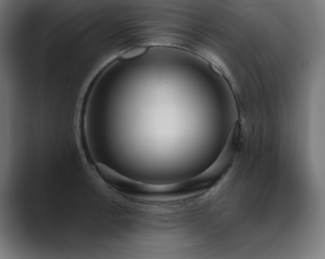 X0000089961138200706291225