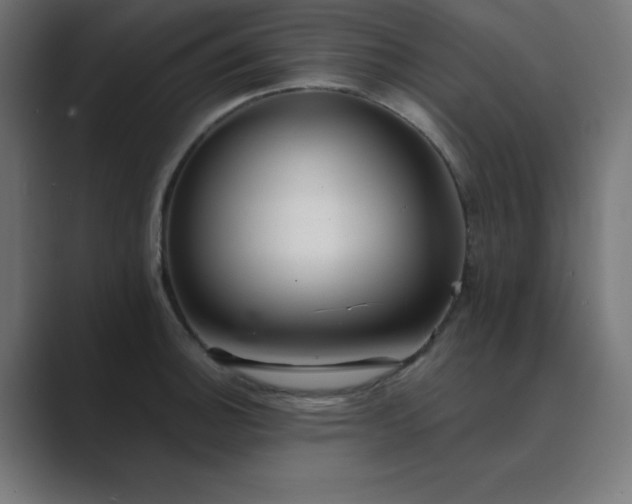 X0000089961140200706291225