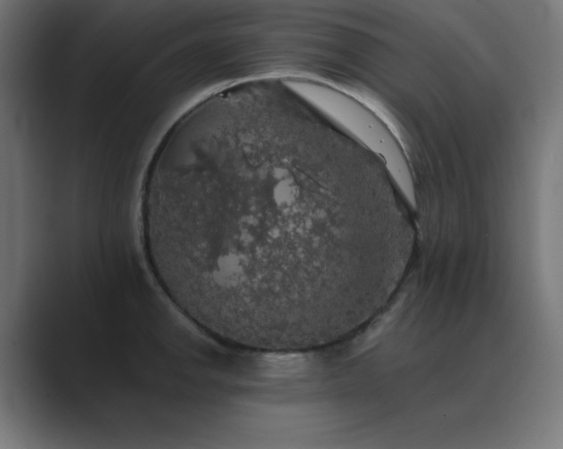 X0000089961142200706291225