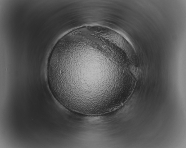 X0000089961143200706291225