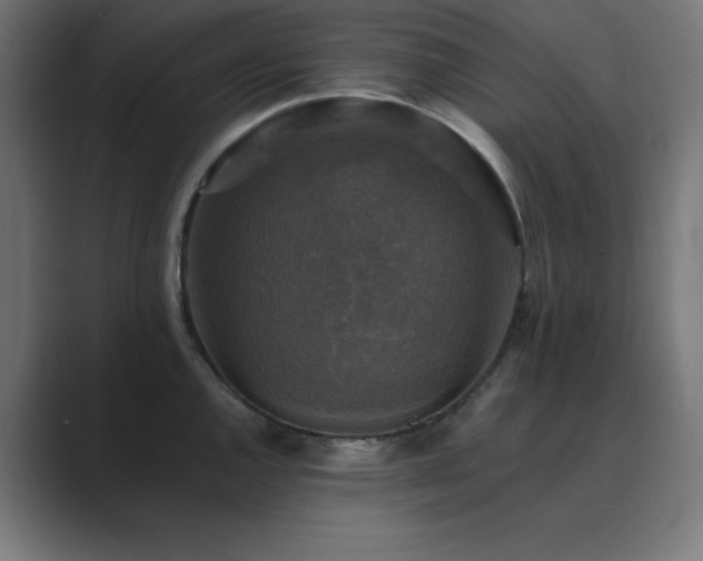 X0000089961144200706291225