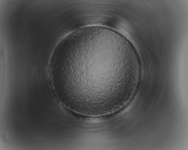 X0000089961145200706291225