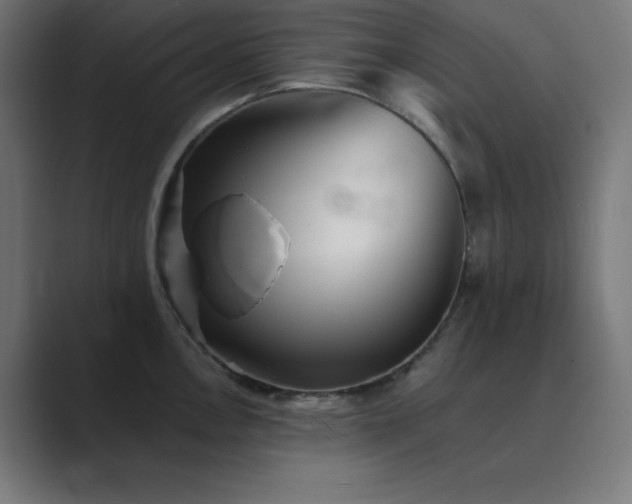 X0000089961146200706291225