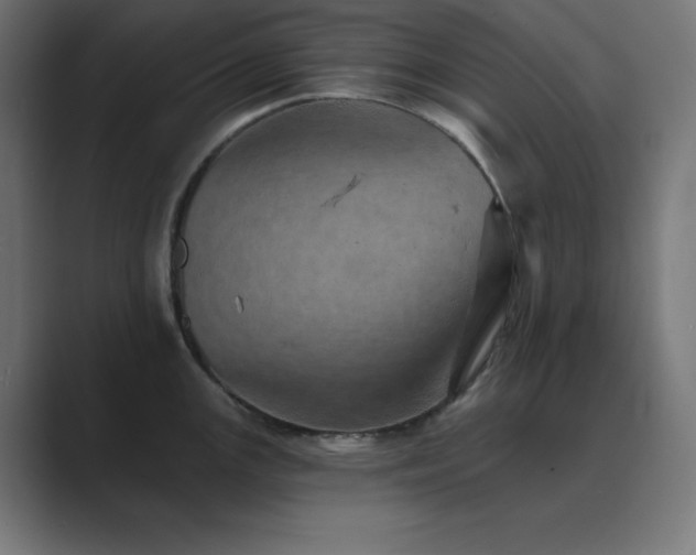 X0000089961147200706291225