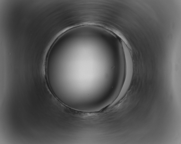 X0000089961148200706291225