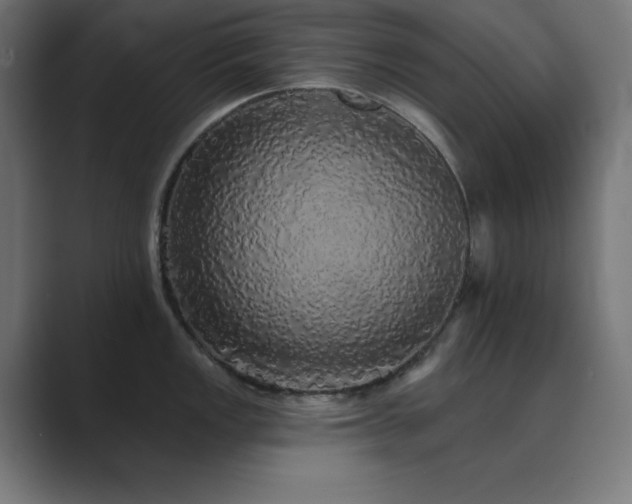 X0000089961149200706291225