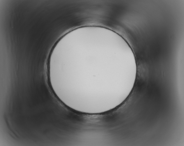 X0000089961150200706291225