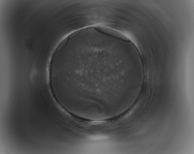 X0000089961151200706291225