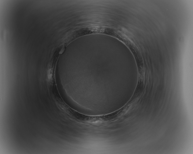X0000089961154200706291224