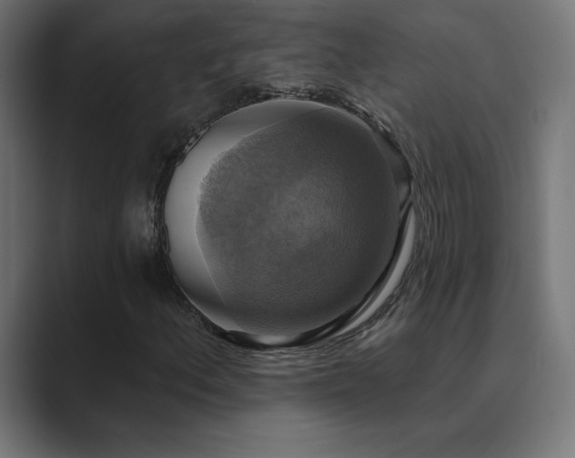 X0000089961156200706291224