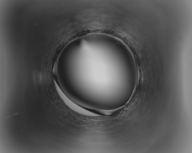 X0000089961157200706291224