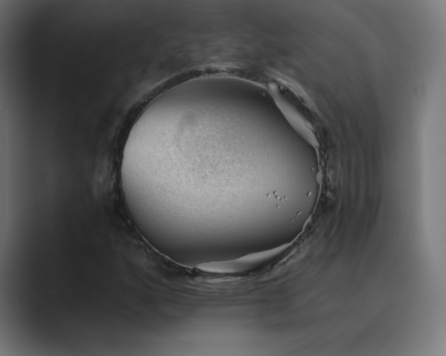 X0000089961160200706291224
