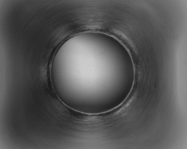 X0000089961162200706291224