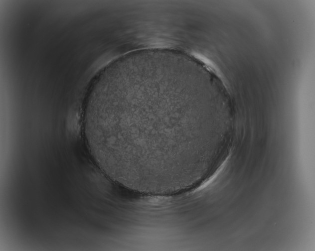 X0000089961163200706291224