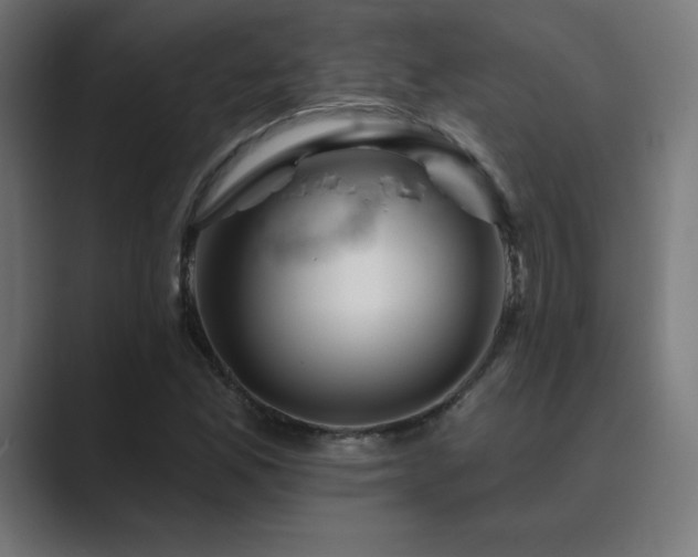 X0000089961165200706291224